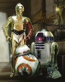 STAR WARS 7 - Mini Poster 40X50 - Droids