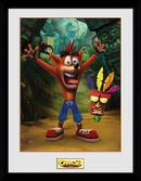 CRASH BANDICOOT - Collector Print 30X40 - Aku Aku