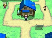 Pokemon Version Blanche - DS