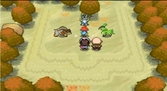 Pokemon Version Blanche - DS