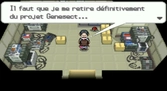 Pokemon Version Blanche - DS