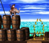 Donkey Kong Country 2 - Super Nintendo