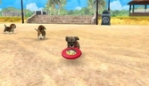 Nintendogs + Cats : Caniche Toy & ses Amis Nintendo Selects - 3DS