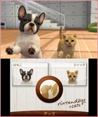 Nintendogs + cats : Golden Retriever & ses nouveaux amis Selects - 3DS
