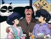 Ranma 1/2 box 5/6 (4 dvd)