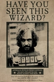 Harry potter - poster 61x91 - wanted serius black