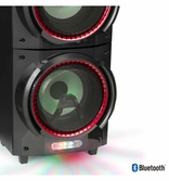 Hauts-parleurs sans fil NGS Premium Wild Techno