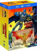 Batman Unlimited : L'Instinct Animal BLU-RAY + DVD + FIGURINE