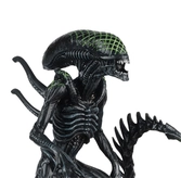Alien & predator - figurine collection 1/16 - grid xenomorph - 13.8cm