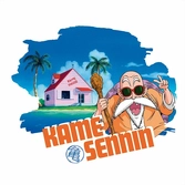 Dragon ball - t-shirt dbz/tortue géniale (s)