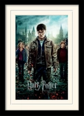 Harry potter - mounted & framed 30x40 print - deathly hallows part 2