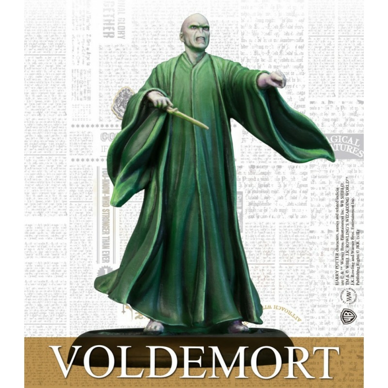 Baguette magique Harry Potter Deluxe Voldemort Wizarding World - Accessoire  de déguisement - Achat & prix