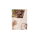 Freebooter's Fate Livre des règles (FR)