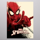 Spiderman geek - magnetic metal poster 31x21 - peter parker