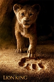 Disney - poster 61x91 - the lion king : future king