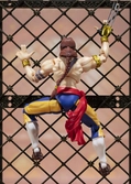 Figurine SH Figuarts Street Fighter Vega
