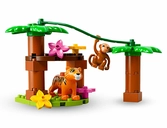 Lego Duplo 10906 - L'Île Tropicale