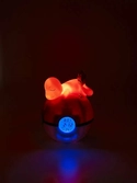 Pokemon - horloge alarme fm led salamèche