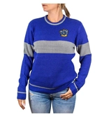 Harry potter - ravenclaw school christmas sweater l