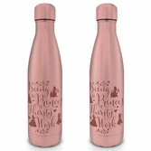 Disney - gourde metal 550 ml - princess (thirsty work)