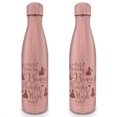 Disney - gourde metal 550 ml - princess (thirsty work)