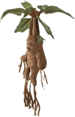 Harry potter - mandrake electronic interactive plush