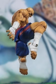 Figurine SH Figuarts Street Fighter V SAGAT