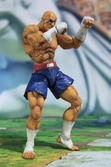 Figurine SH Figuarts Street Fighter V SAGAT