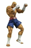Figurine SH Figuarts Street Fighter V SAGAT