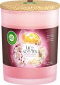 Airwick bougie life scents délices ete 185g
