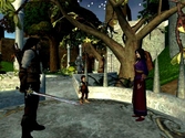Le Seigneur des Anneaux : La Communauté de l'Anneau - Playstation 2