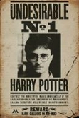 HARRY POTTER - Poster 61X91 - Undesirable N° 1 - Posters