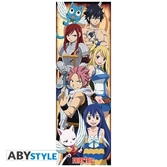 Fairy tail - poster de porte - personnages - 53x158