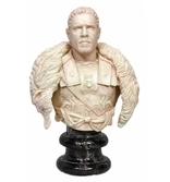 Général Maximus Decimus Meridius