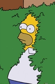 The simpsons - homer dans un buisson maxi poster