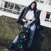 NGS Premium Speaker Wild Ska 1