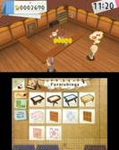 Hometown Story - 3DS - 2DS