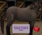 Pony friends 2 - WII