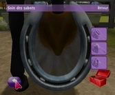 Pony friends 2 - WII