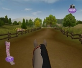 Pony friends 2 - WII