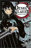 Demon slayer - tome 12