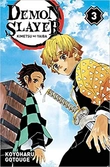Demon slayer - tome 3
