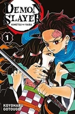 Demon slayer - tome 1