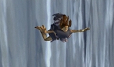 Tarzan Freeride - GameCube