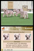 Nintendogs Dalmatien Et Ses Amis - DS