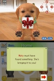 Nintendogs : Chihuahua et ses Amis - DS