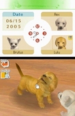 Nintendogs : Chihuahua et ses Amis - DS