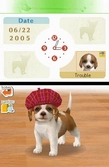 Nintendogs : Chihuahua et ses Amis - DS