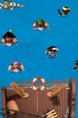 Playmobil Pirate : A l'Abordage - DS