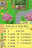 Harvest Moon - DS